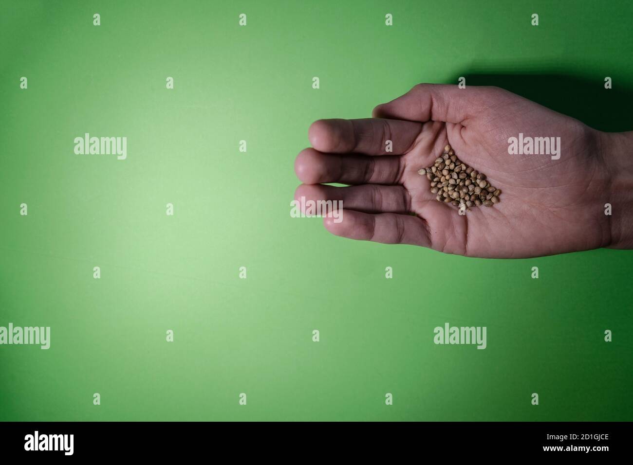 Pile of buckwheat grains in a human hand Stock Photo Alamy