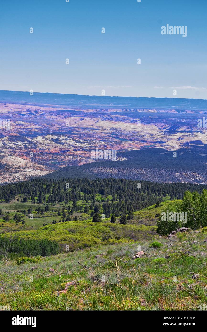 Boulder Mountain Homestead Overlook views from Scenic Byway Highway 12