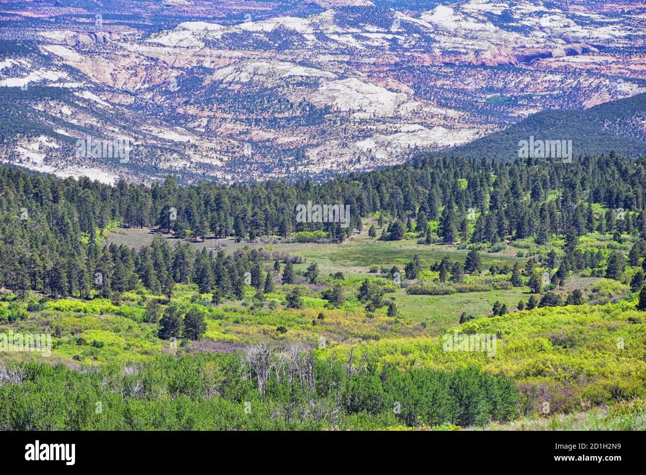 Boulder Mountain Homestead Overlook views from Scenic Byway Highway 12