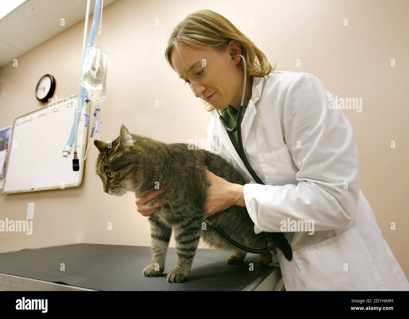 Digit fund hires stock photography and images Alamy