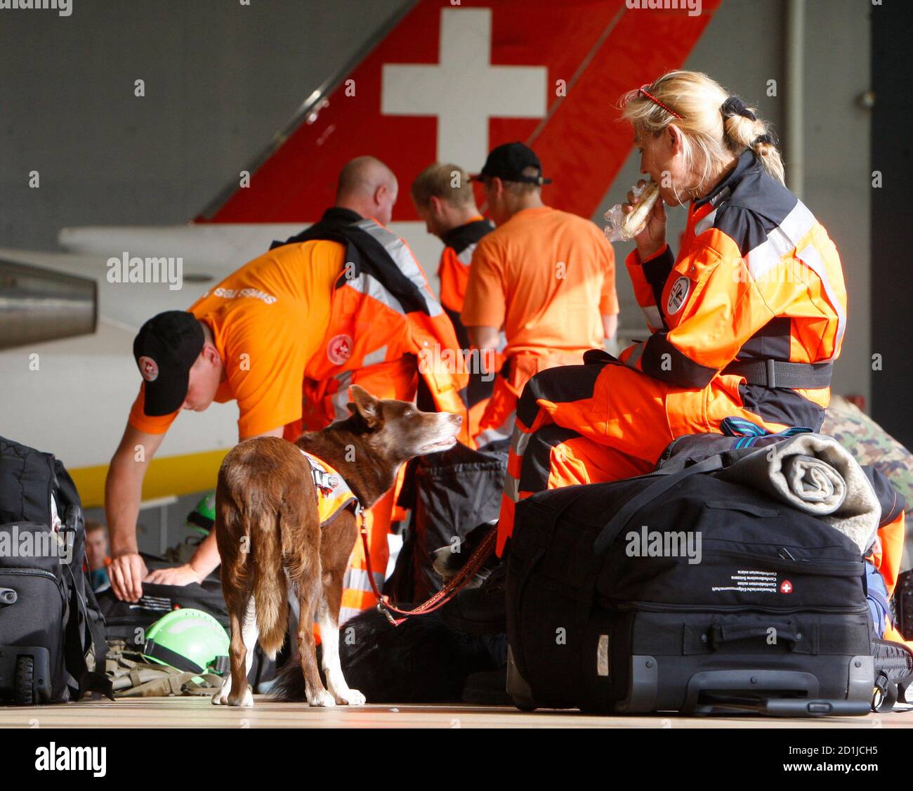 Page 10 - Swiss Dog In Switzerland High Resolution Stock Photography and  Images - Alamy