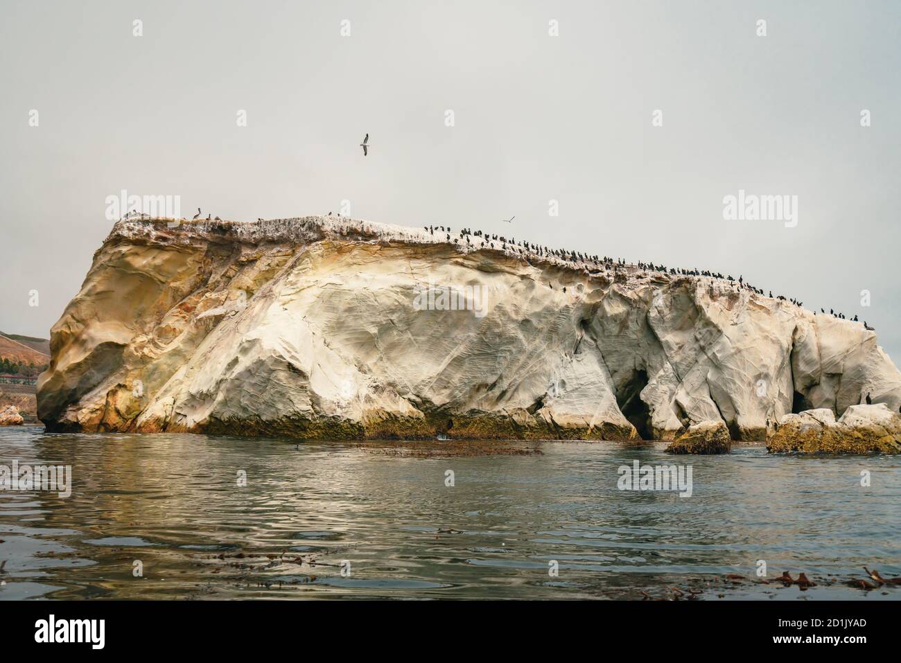 Large rock ocean background hi-res stock photography and images - Alamy