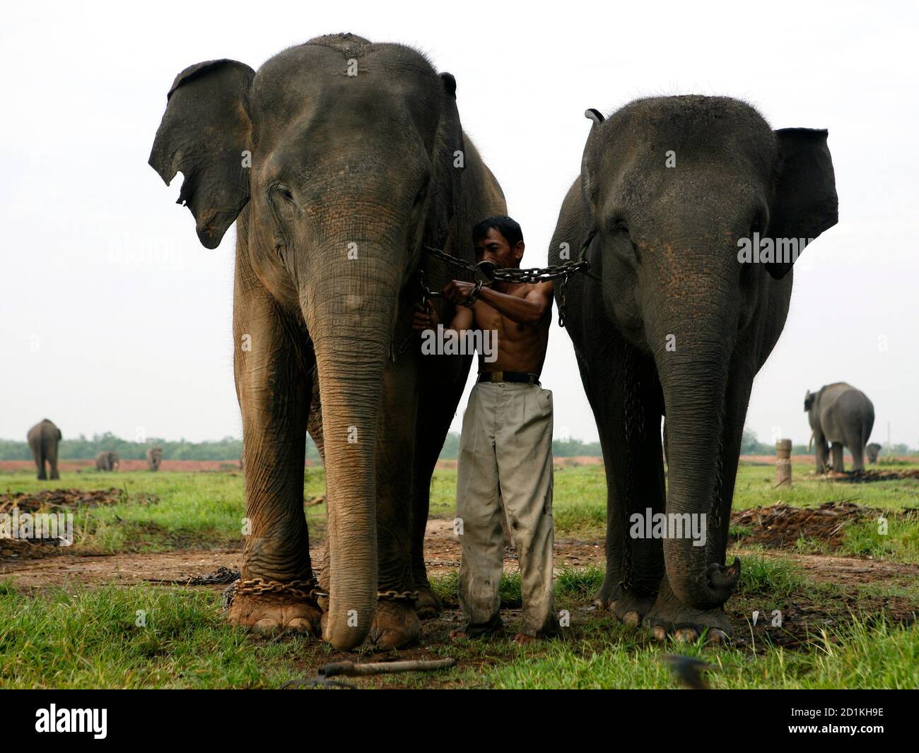 Fragmentation habitat hi-res stock photography and images - Alamy