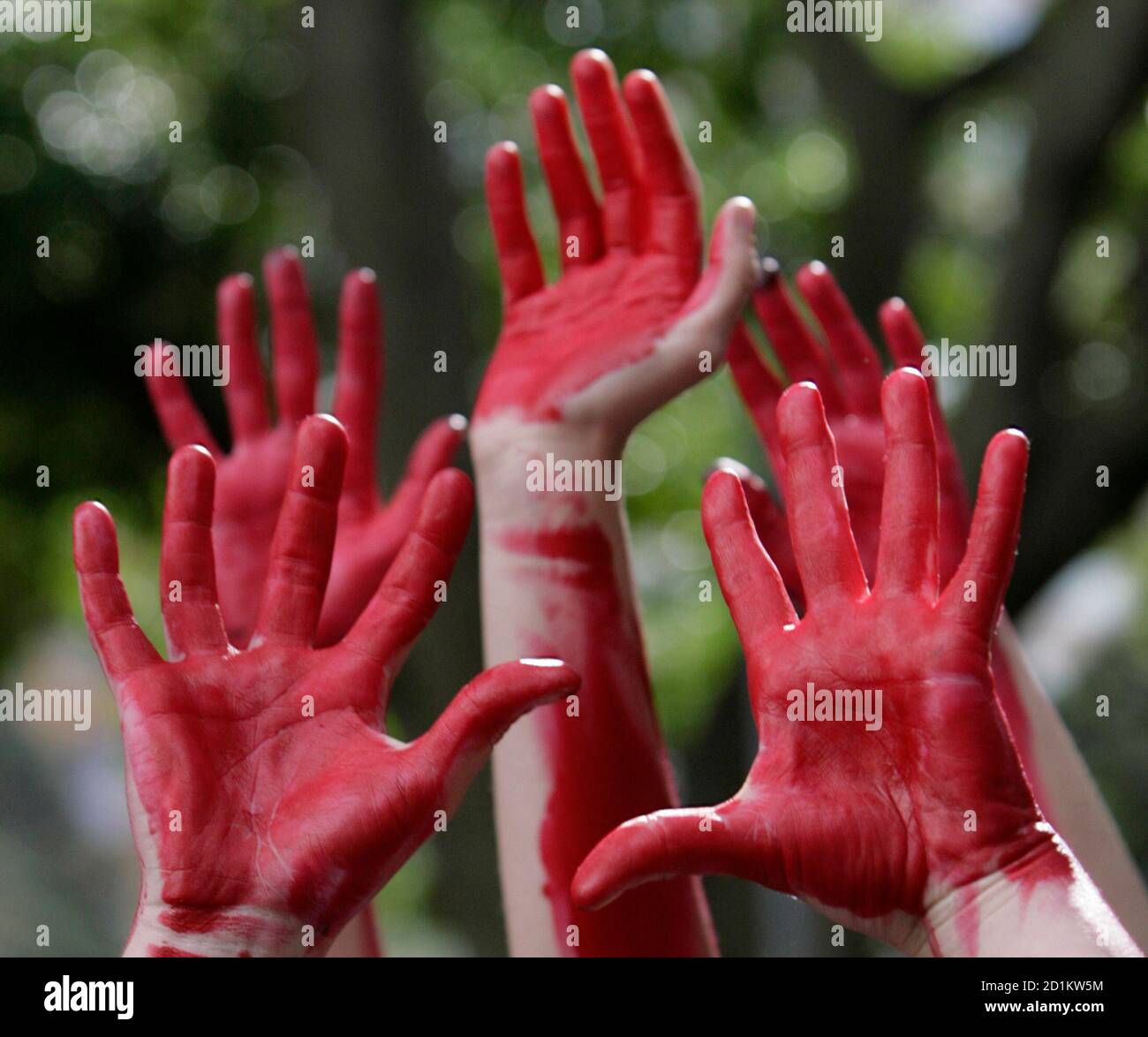 Blood On My Hands High Resolution Stock Photography And Images Alamy