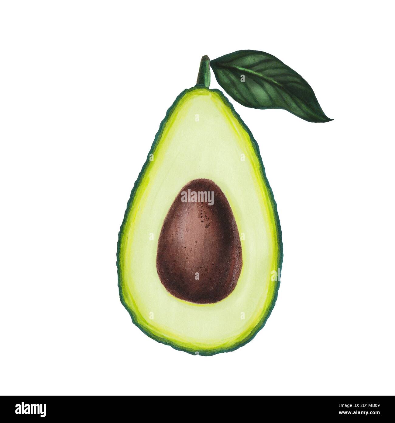 Page 3 Cut Half Avocado Isolated Illustration High Resolution Stock Photography And Images Alamy