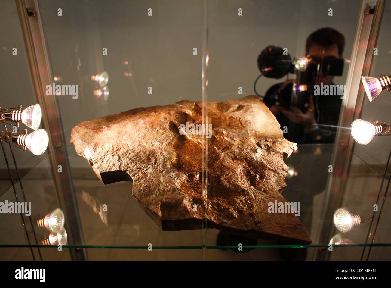 A cameraman views a fossilised footprint of an unknown creature displayed  at the Geological Museum in Warsaw January 7, 2010. The fossil dates back  to about 400 million years ago which suggests
