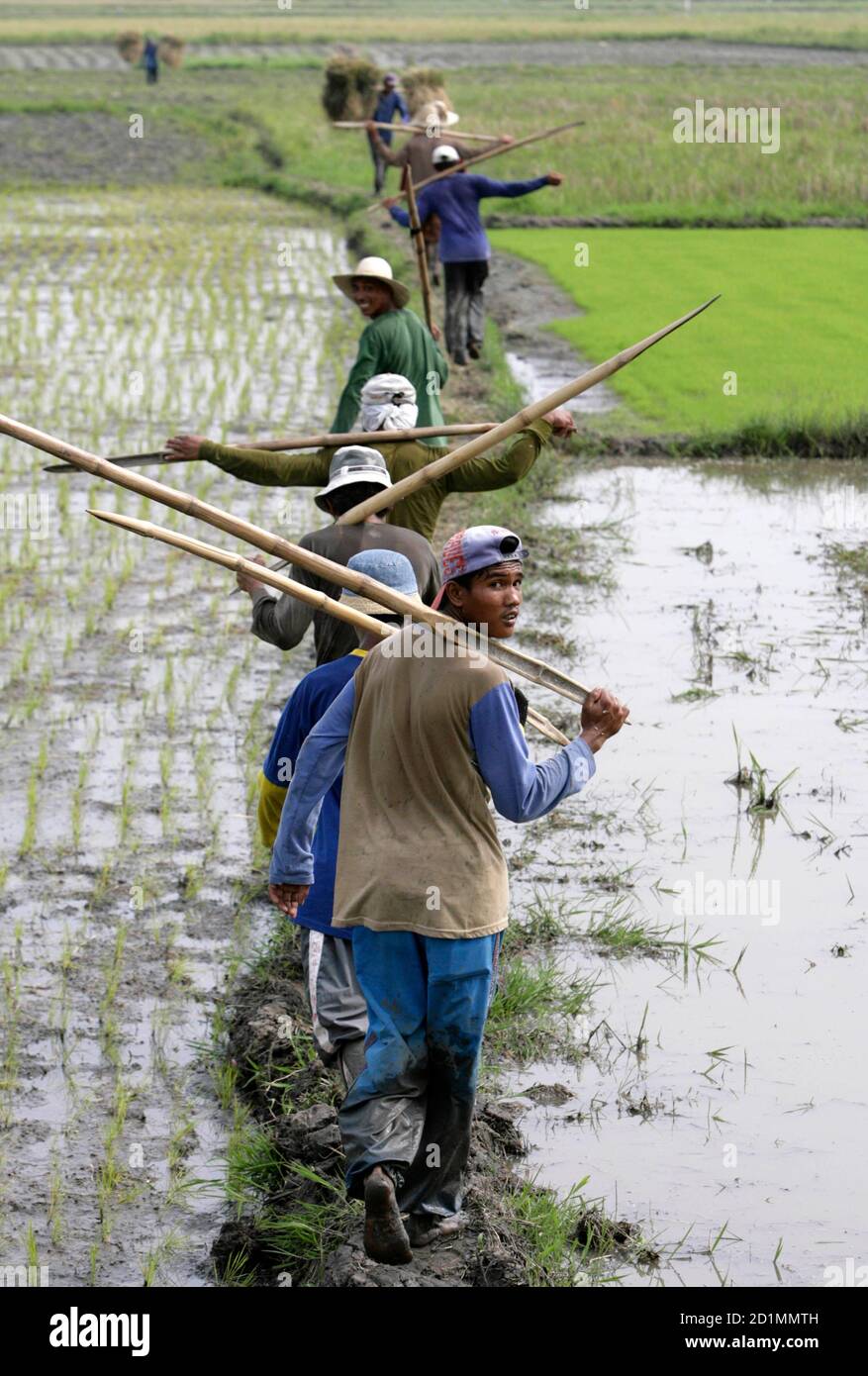 Farmers Head Out To Collect Freshly Harvested Rice Near Solano A Town In The Agricultural Province Of Nueva Vizcaya North Of Manila September 18 2007 The Philippines Is One Of The Biggest