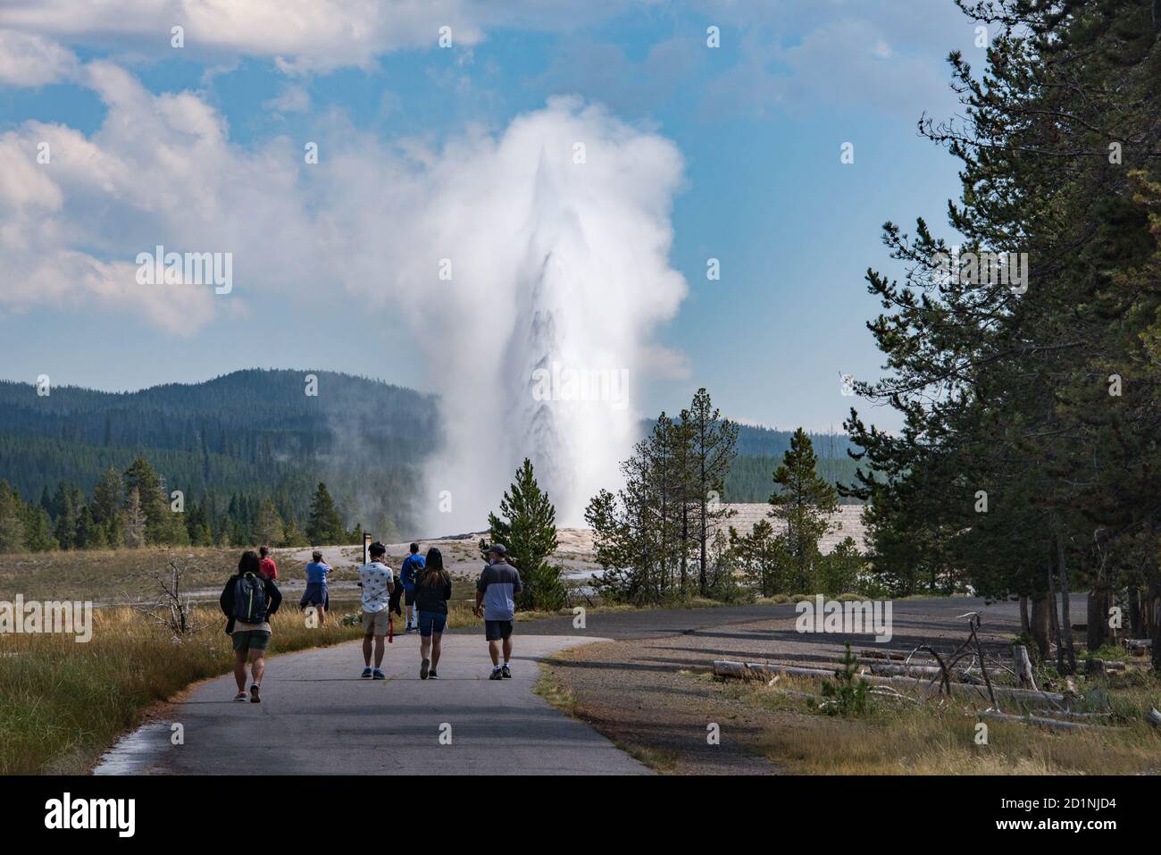Enjoying Old Faithful, Upper Geyser Basin, Yellowstone National Park, Wyoming, USA Stock Photo