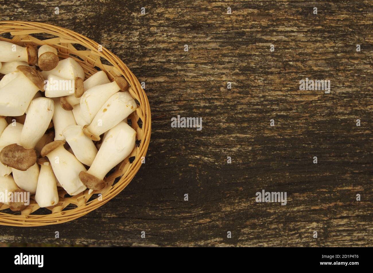 Mushrooms in basket (Pleurotus eryngii Stock Photo Alamy
