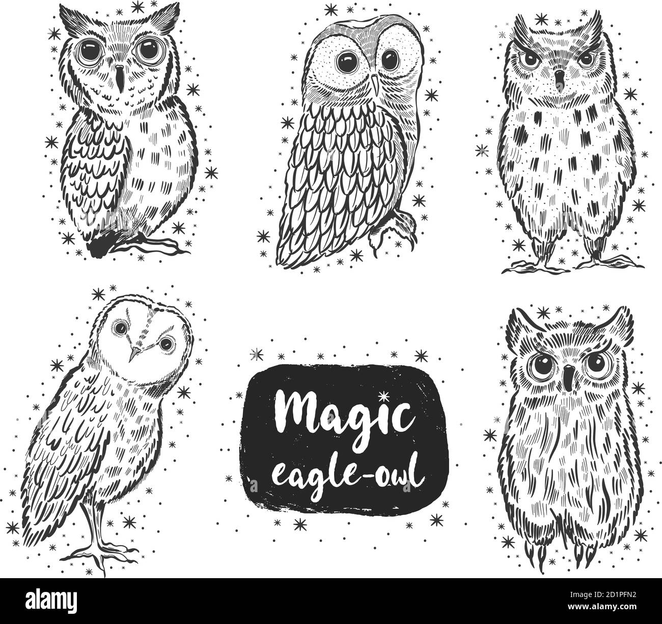 Owl hand drawn sketch. Funny cute bird isolated Stock Vector Image ...