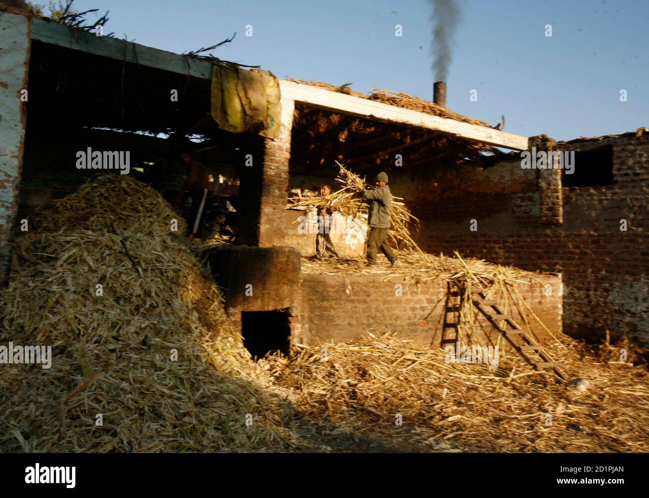Egypt food factory hires stock photography and images Alamy