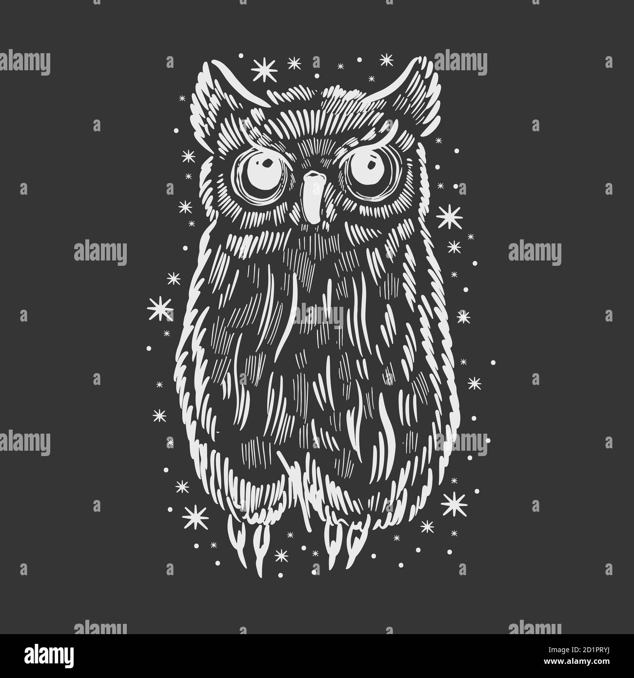 Owl hand drawn sketch. Funny cute bird isolated Stock Vector Image ...
