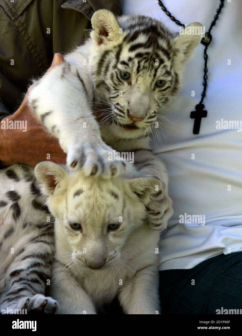 Siegfried Marcus High Resolution Stock Photography And Images Alamy