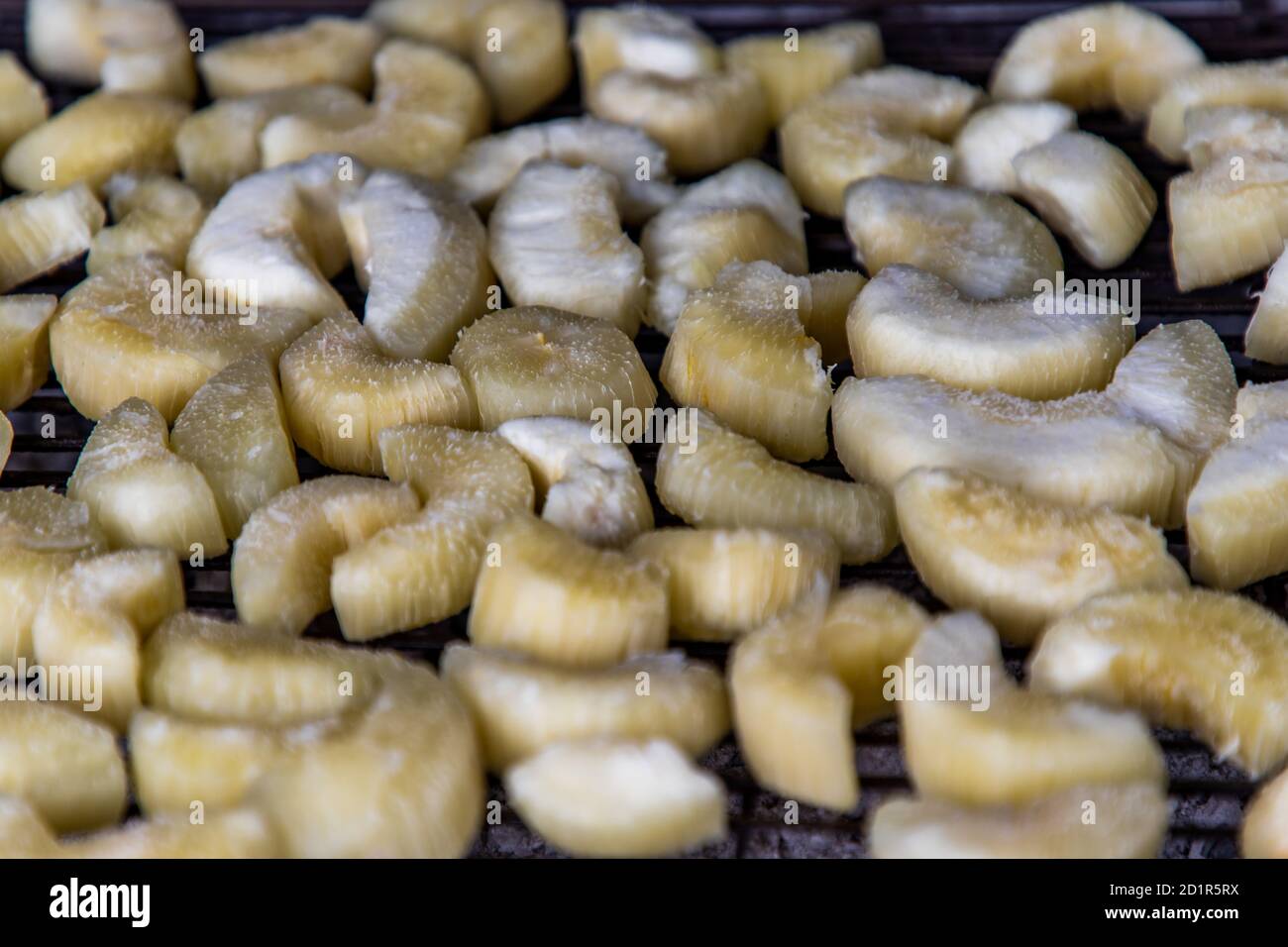 Tapioca or cassava roasted on charcoal stove at Street food. Healthy food. Selective focuse. Stock Photo