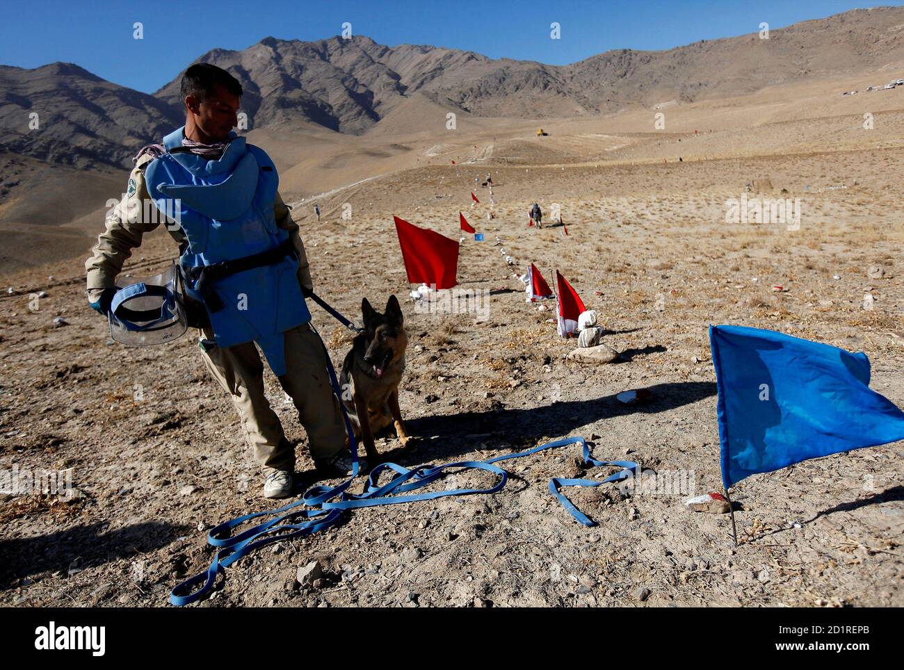 Military mine dog hi-res stock photography and images - Alamy