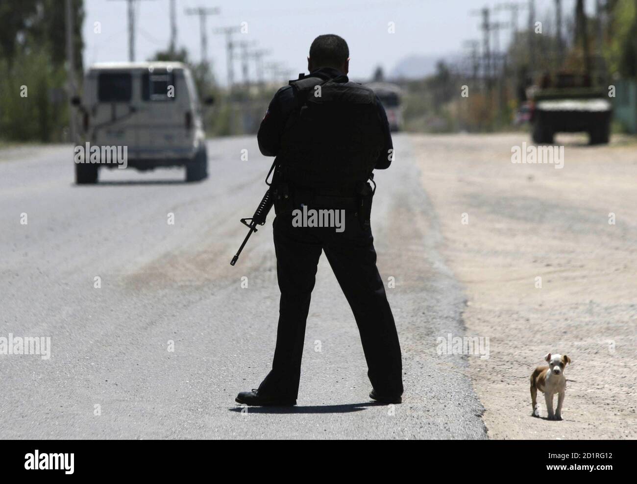 both an arid mexican state and a tiny dog breed