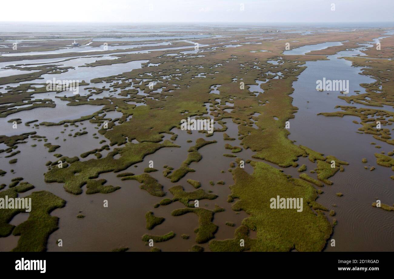 An aerial view is seen of the marshes surrounding Port Fourchon, Louisiana May 11, 2010. U.S. Army National Guard troops dropped sandbags from helicopters to fill in breaks in beaches to protect the marshes from the BP oil spill offshore. REUTERS/Rick Wilking (UNITED STATES - Tags: ENVIRONMENT DISASTER MILITARY) Stock Photo