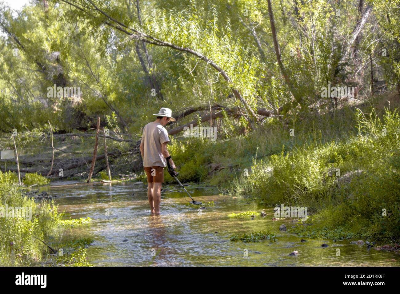 Prospector man uses a metal detector for lost gold treasure from the Walnut Grove Dam disaster in the Hassayampa River outside Kirkland, Arizona, USA Stock Photo