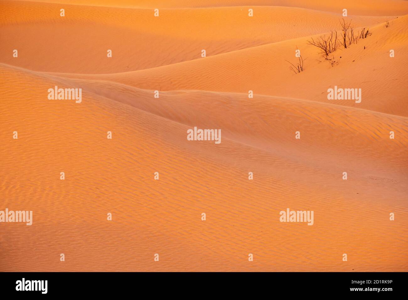 M’Hamid, región de Zagora, Marruecos, Africa Stock Photo