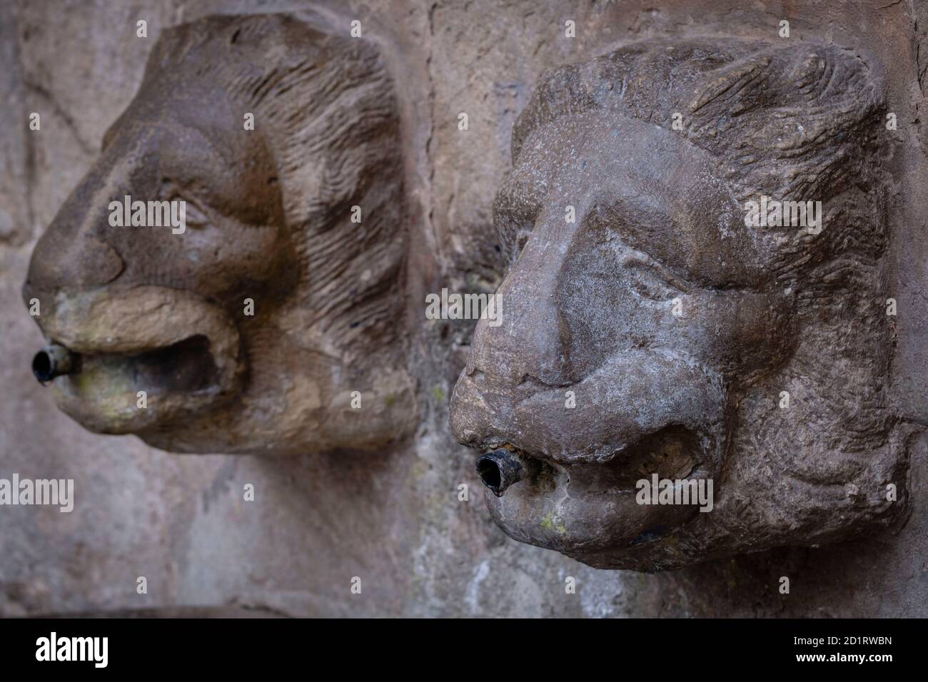 fuente de los Leones, Murillo de Río Leza, La Rioja , Spain, Europe Stock Photo