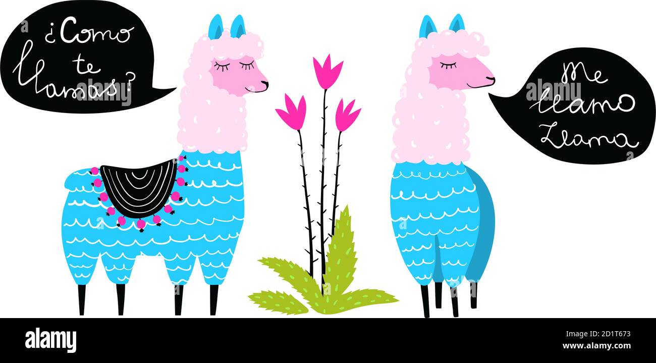 Funny lamas animals conversation talk flat kids illustration Stock Vector  Image & Art - Alamy
