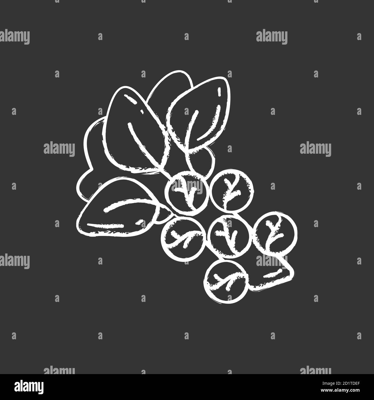 Brussels sprouts chalk white icon on black background Stock Vector