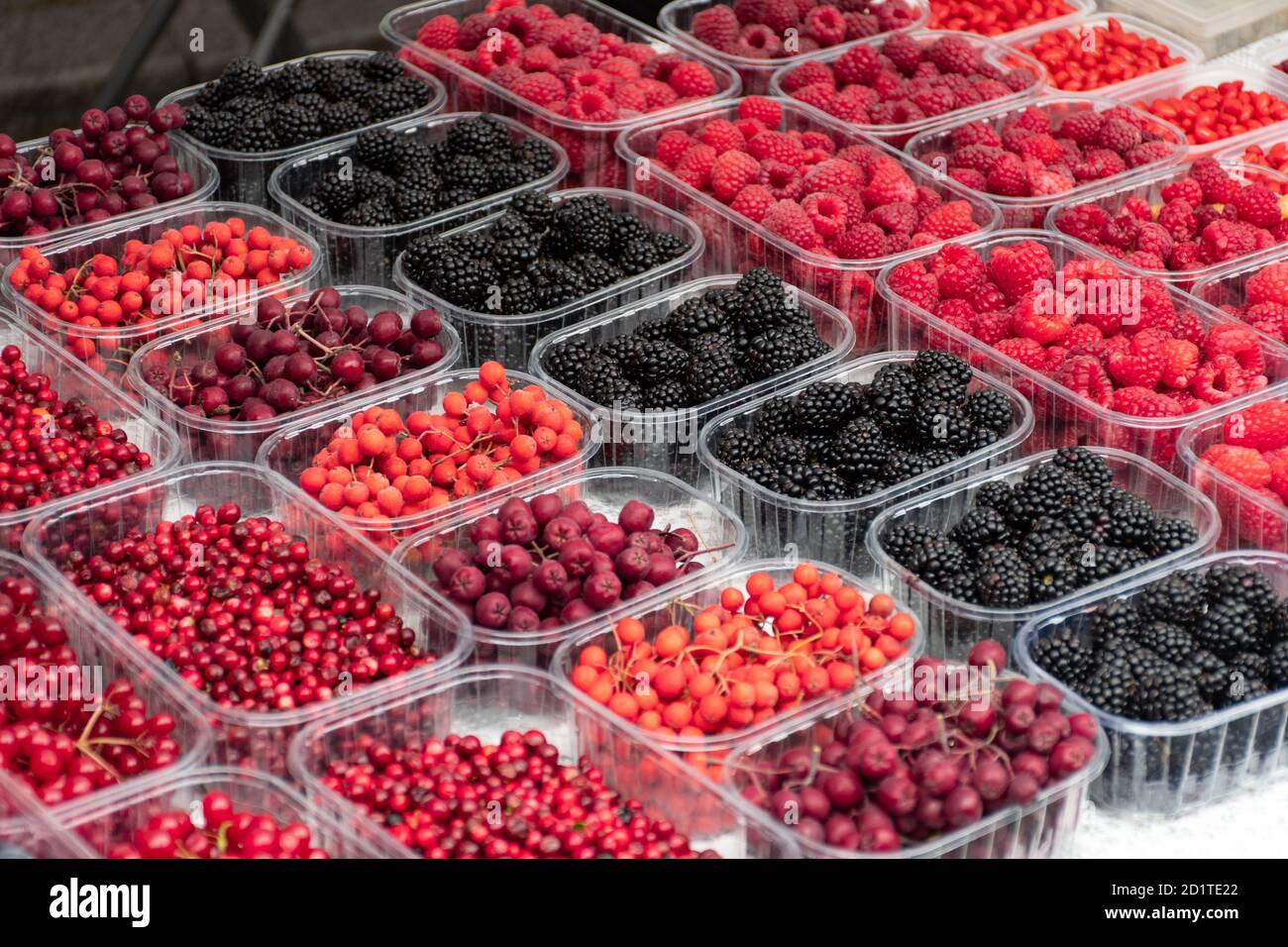 Red and black fresh healthy berries, cranberries, lingonberries, raspberries, blackberries in a small baskets in a street food market ready for sellin Stock Photo