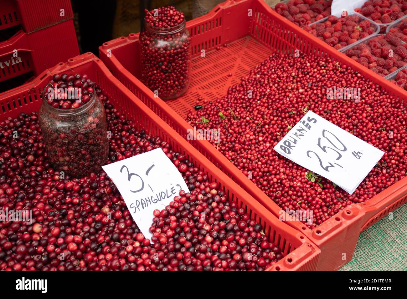 Red fresh healthy cranberries and lingonberries in a street food market ready to sell and eat, with glass jars Stock Photo
