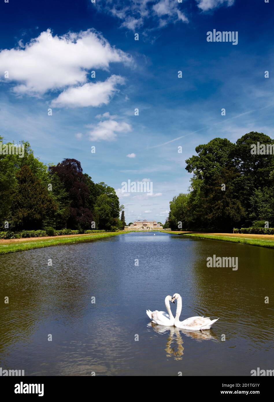 WREST PARK HOUSE AND GARDENS, Bedfordshire. Two swans on the Long Water with the house in the distance. Stock Photo