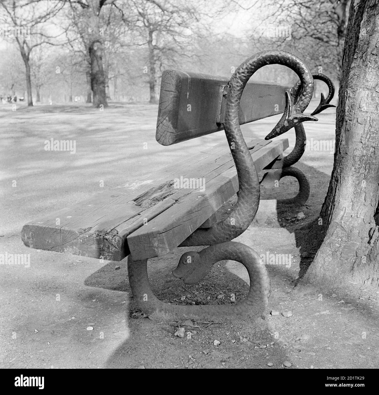 KENSINGTON GARDENS, Westminster, London. Detail of an ornamental serpentiform bench in Kensington Gardens. Photographed by Eric de Mare. Date range: 1945-1980. Stock Photo