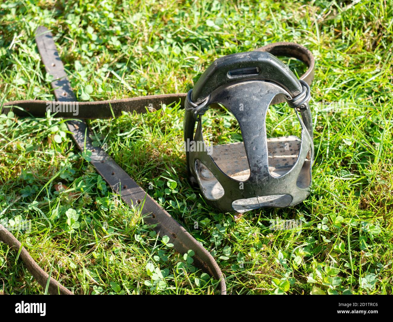 Plastic stirrups  and leather strip from horse saddle in grass. Changing saddle Stock Photo