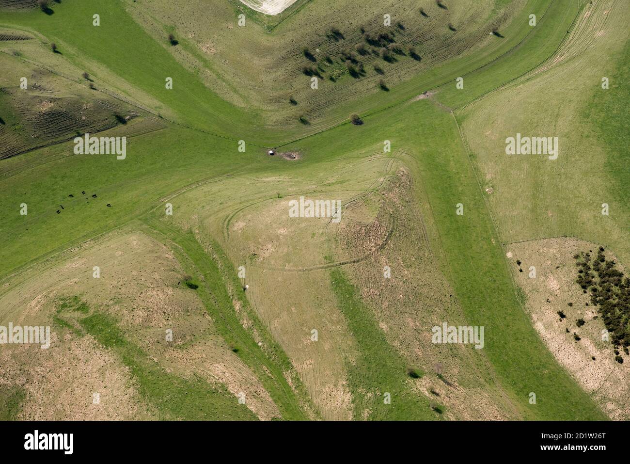 Probable tree enclosure ring earthwork on Calstone Down, Wiltshire, UK. Aerial view. Stock Photo