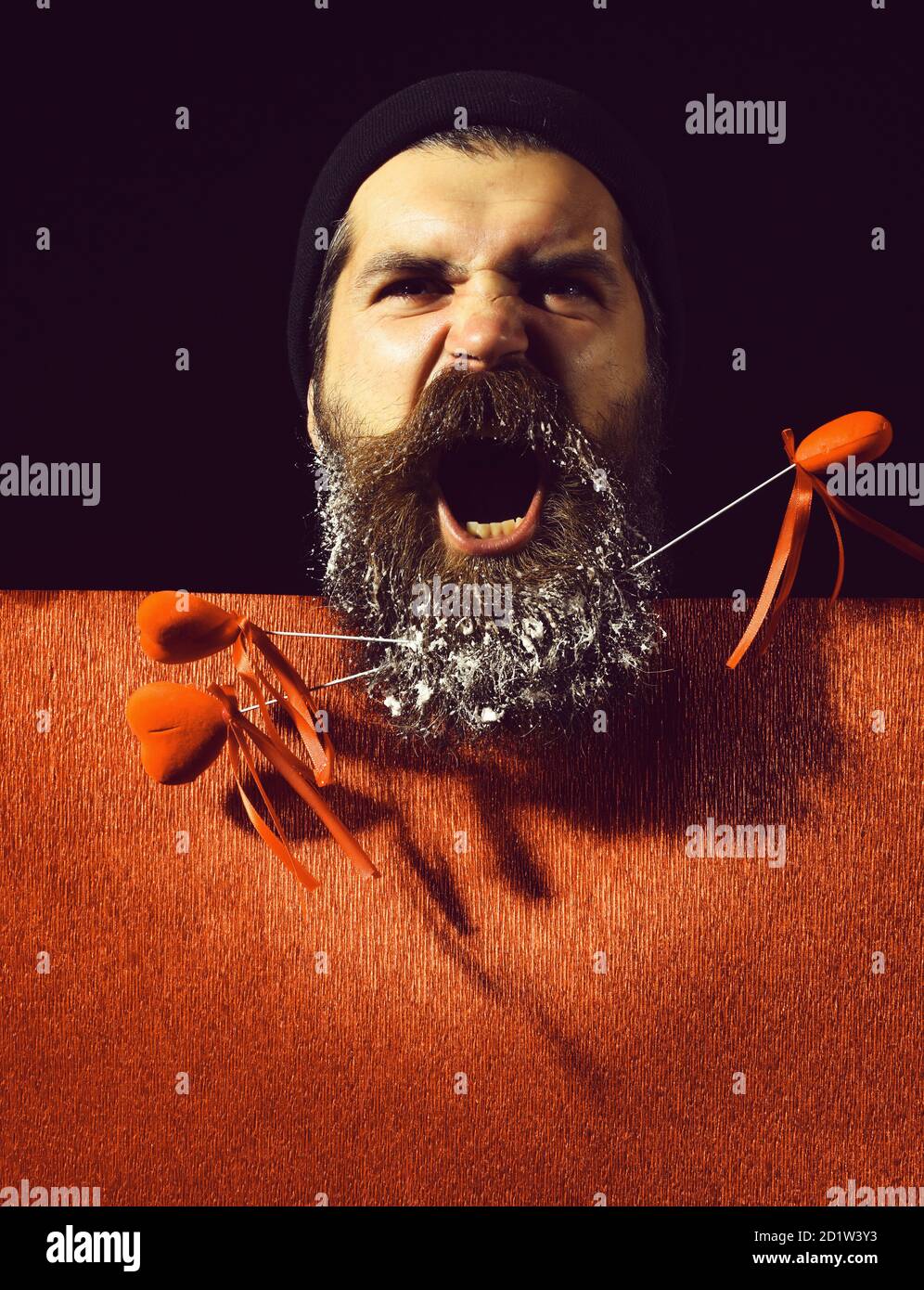 handsome bearded man or guy in winter hat with fashionable mustache on shouting face and snow in beard with decorative valentines hearts on sticks near red paper on black background, copy space Stock Photo