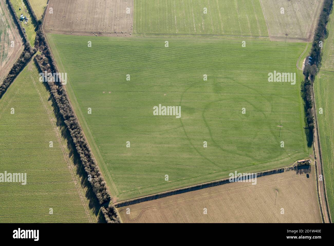 Iron Age double ditched enclosure crop mark, near South Wonston, Hampshire 2018. Aerial view. Stock Photo