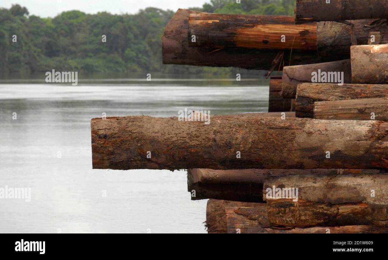 Illegal logging amazon rainforest hi-res stock photography and images ...