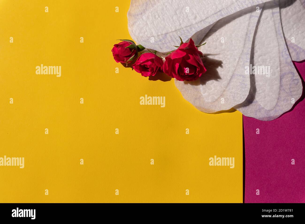 Feminine hygiene during menstruation. Menstrual cycle. Hygiene products