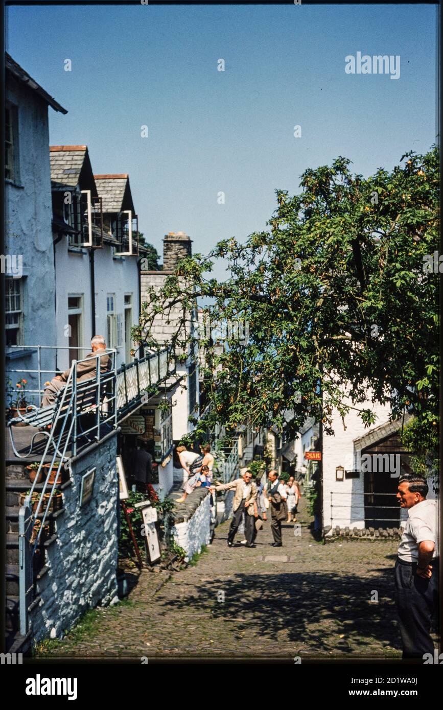 High Street, Clovelly,  Torridge, Devon. Looking north-east down the High Street, with an overhanging tree on the right and people walking in the street and gathered outside a shop. Stock Photo
