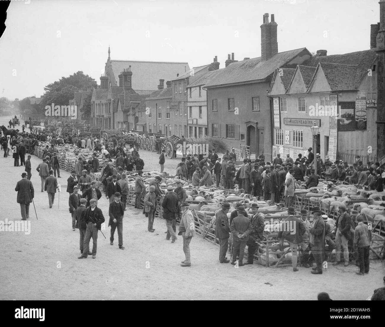 Cornmarket, Thame, Oxfordshire. A busy market day scene with penned sheep in Cornmarket and the Upper High Street. Men are looking over the sheep, bargaining and chatting. The Nags Head Inn is in the foreground. Stock Photo