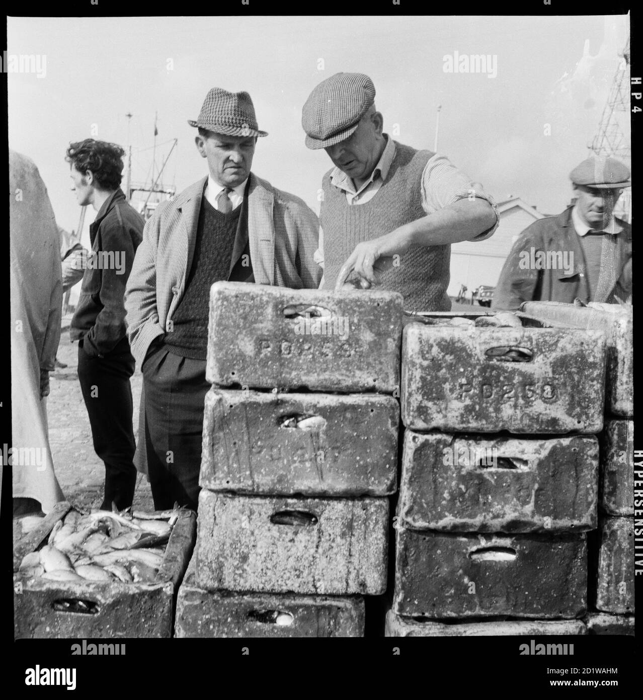 Great Yarmouth, Norfolk. Crates of newly landed fish being inspected on a quay at Great Yarmouth. Stock Photo