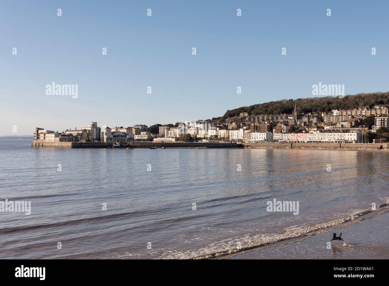 Knightstone Island, Weston-Super-Mare, North Somerset. General view looking north-west across Weston Bay towards Knightstone Island, at high tide, with a dog playing on the beach in the foreground. Stock Photo