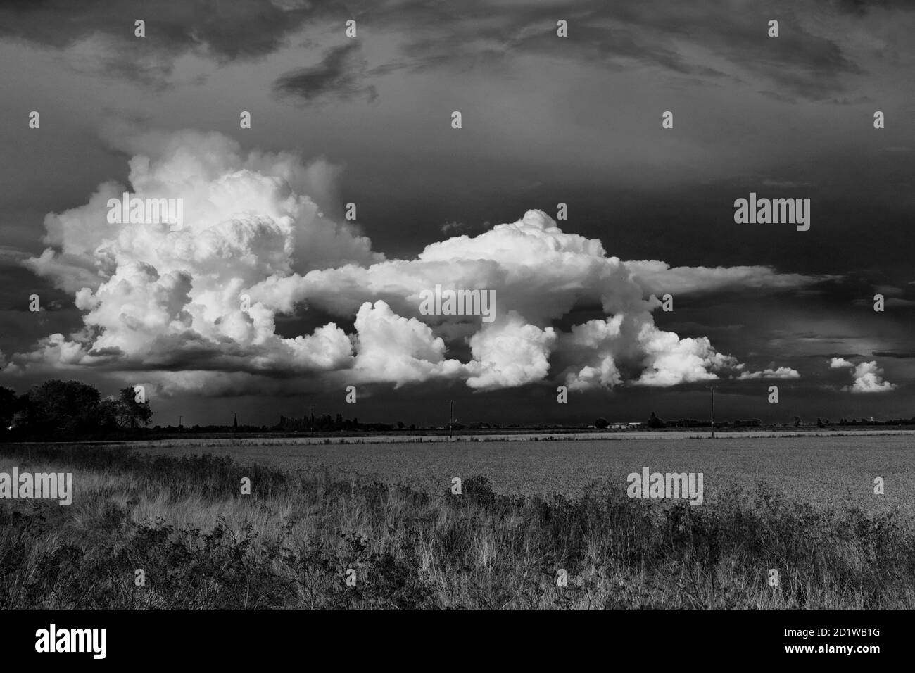 Cumulonimbus Storm clouds over Fenland fields, near Wisbech town, Cambridgeshire, England, UK Stock Photo