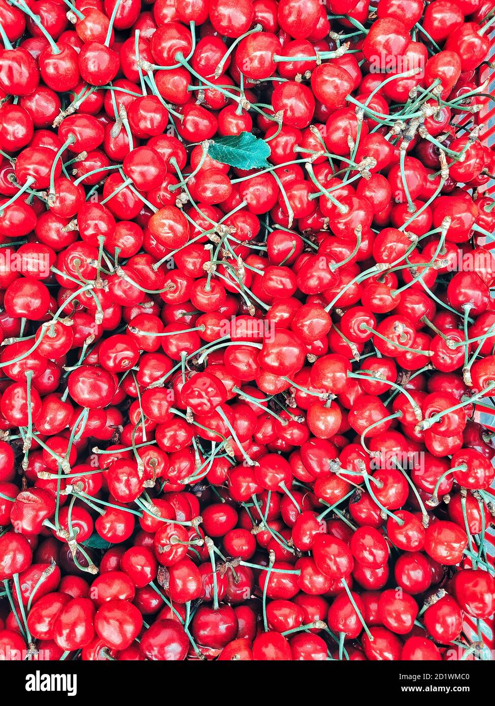 Ripe red cherries pattern background, Vertical orientation background ...