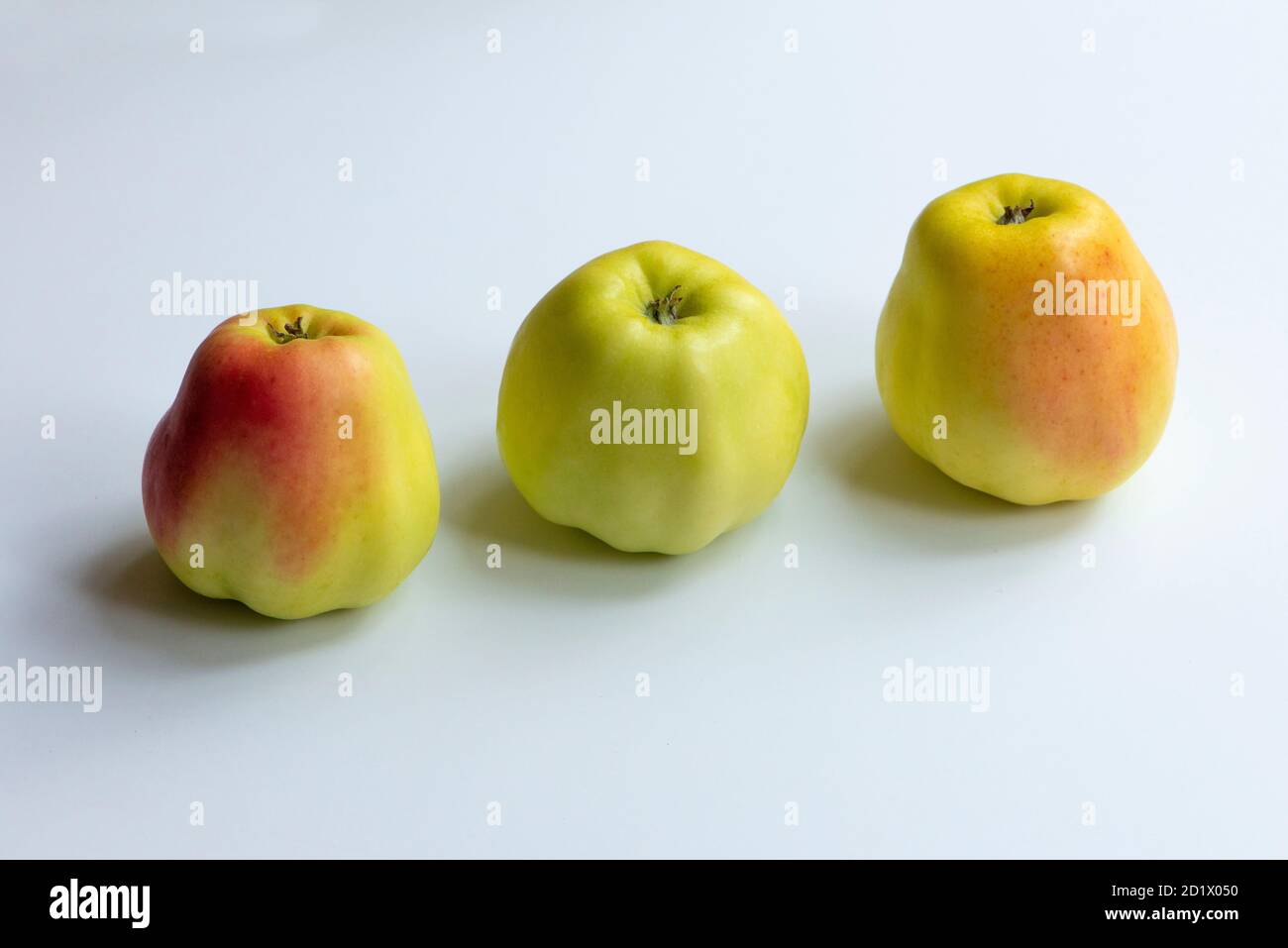 Three natural organic apples on a white background. Stock Photo