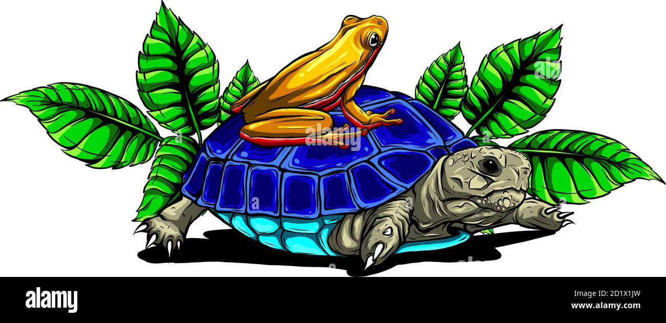 Frog vector graphics hi-res stock photography and images - Alamy