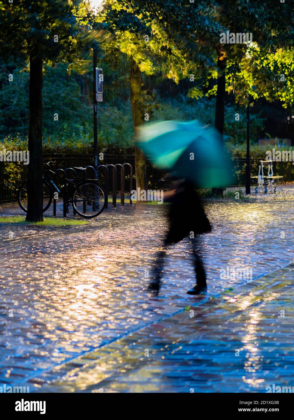 Passerby silhouette with umbrella in a paved wet street under the rain Stock Photo
