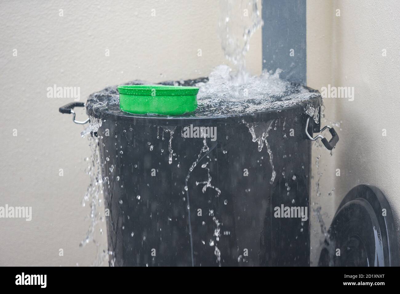 Bucket with water splashes rain water harvesting in the bucket of water