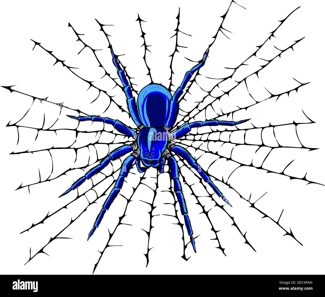 Vector Illustration of a Spider and a Web Stock Vector