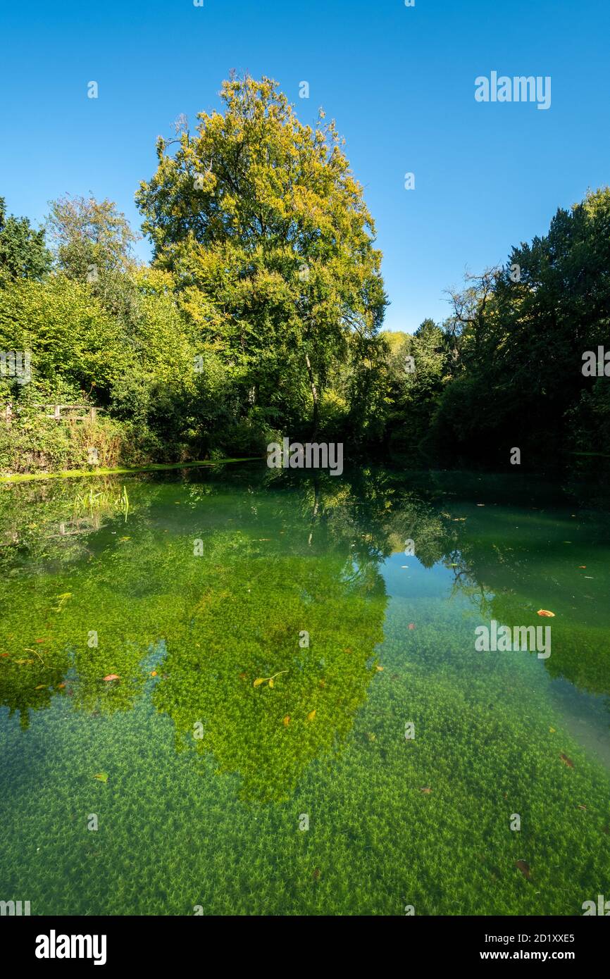 Silent Pool, view of the pond during autumn, Surrey, UK Stock Photo