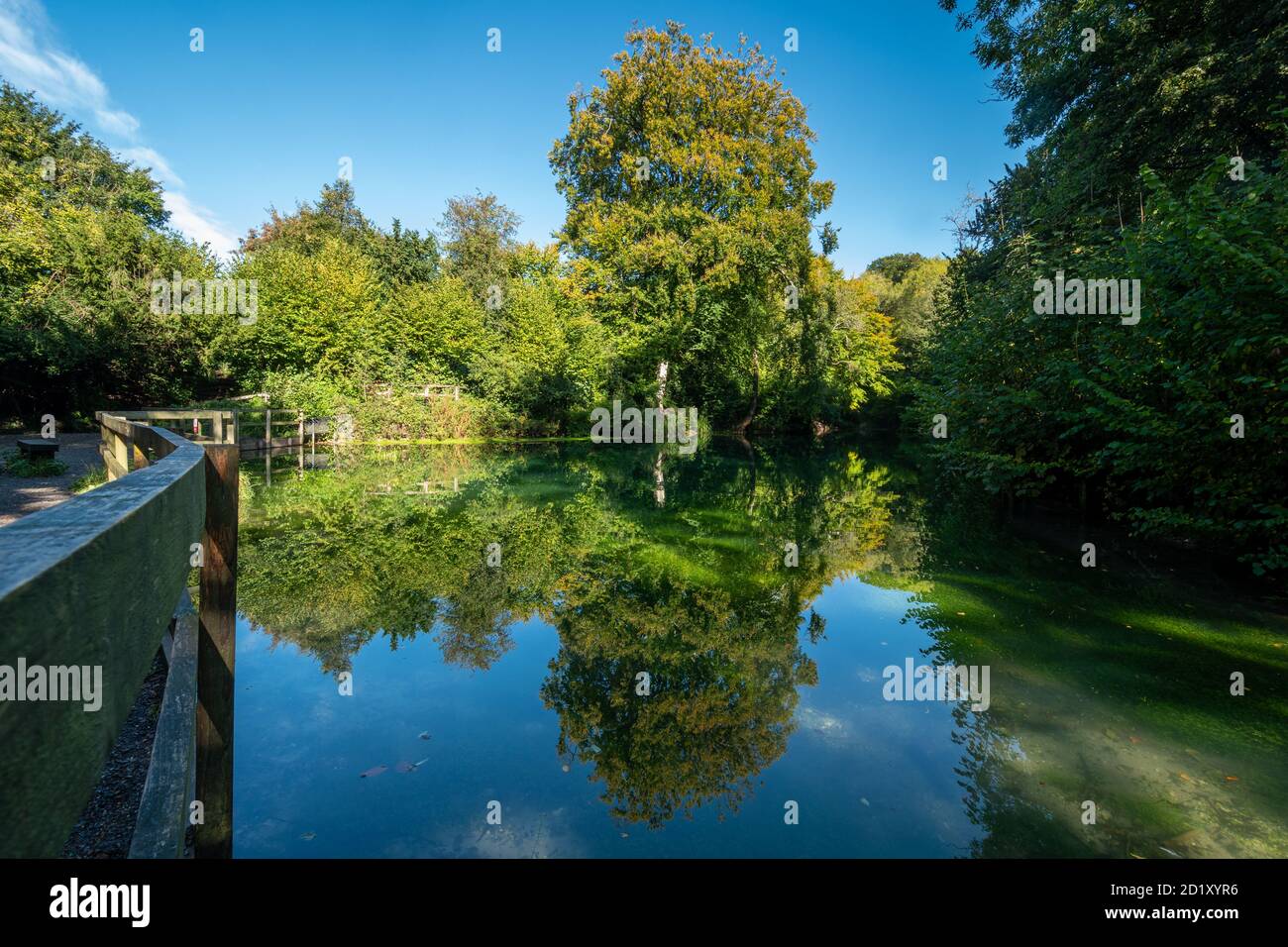 Silent Pool, view of the pond during autumn, Surrey, UK Stock Photo
