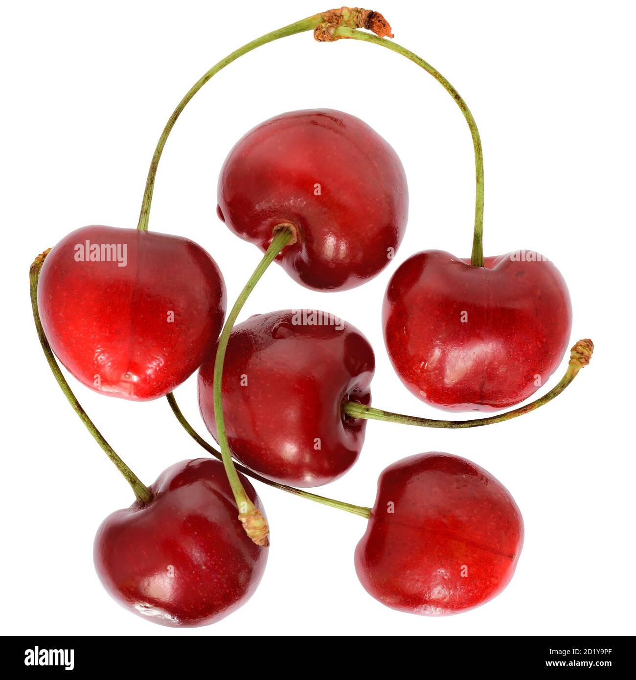 Sweet cherry top view isolated on a white background. Stock Photo